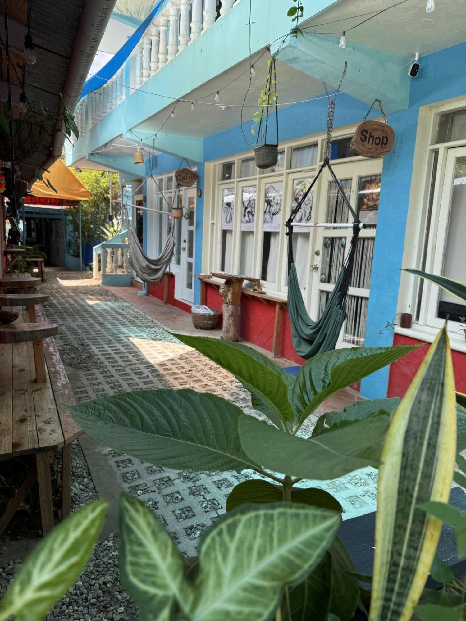 Albergue Wing Camp Cabarete Exterior foto